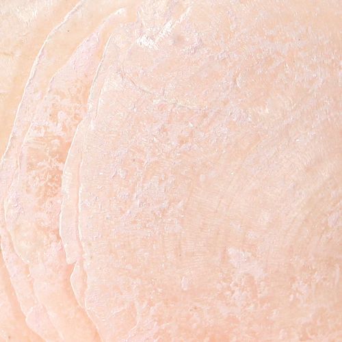 Floristik24 Conchas Capiz discos de nácar conchas decorativas rosa claro Ø8cm