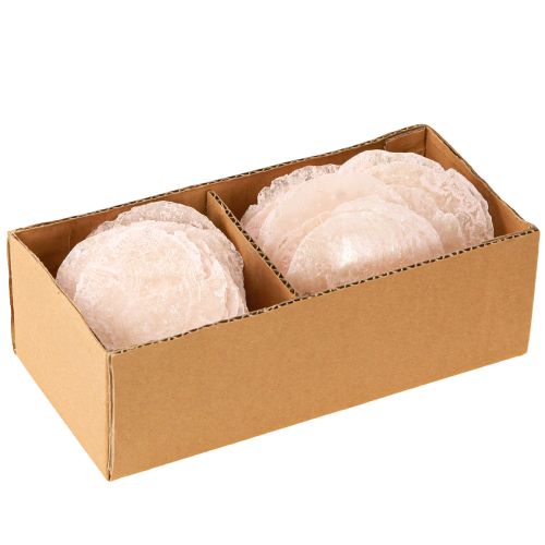Floristik24 Conchas Capiz discos de nácar conchas decorativas rosa claro Ø8cm