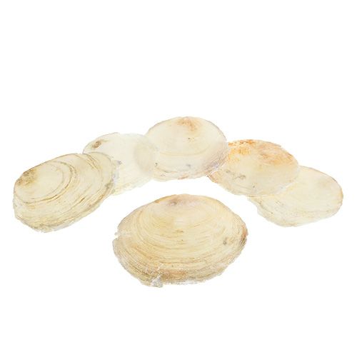 Mejillón Capiz 500g