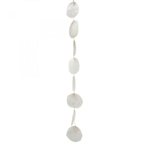 Floristik24 Guirnalda de conchas capiz nácar decoración marinera 100cm