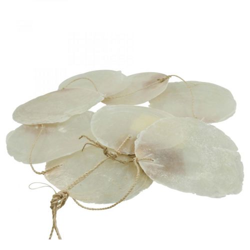 Floristik24 Guirnalda de conchas capiz nácar decoración marinera 100cm