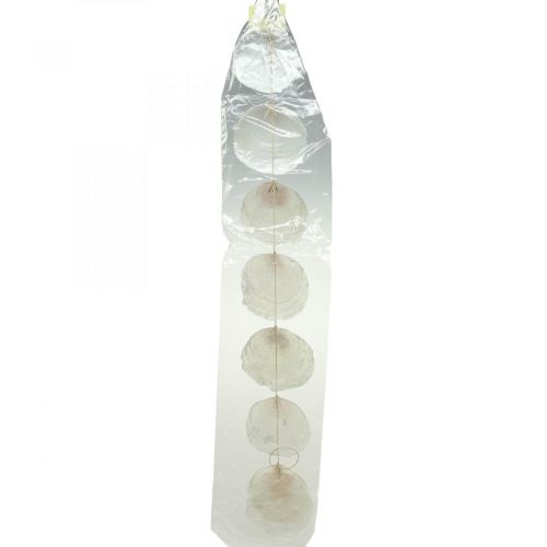 Floristik24 Guirnalda de conchas capiz nácar decoración marinera 100cm
