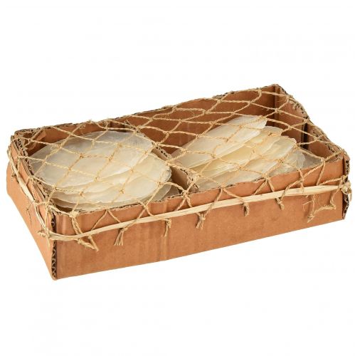 Artículo Conchas de capiz Lonchas de capiz lonchas de nácar natural 7,5–9,5cm 300g