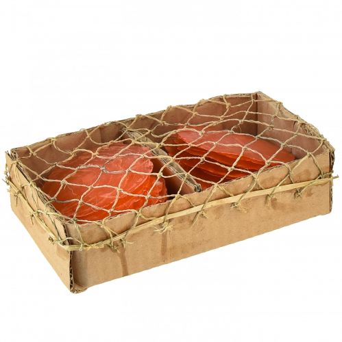 Artículo Conchas de capiz Rodajas de capiz rodajas de nácar naranja 7,5–9,5cm 300g