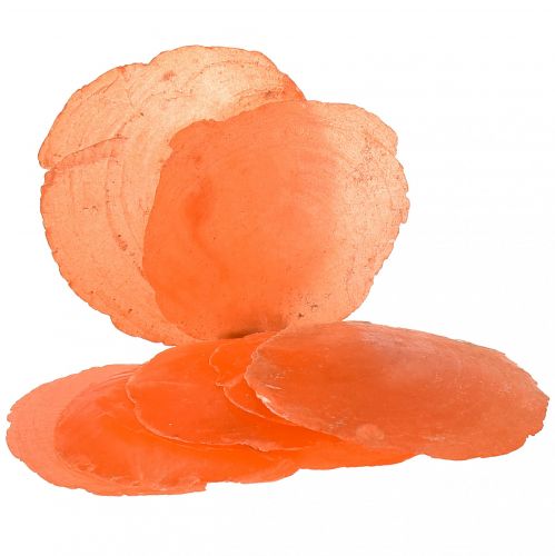 Conchas de capiz Rodajas de capiz rodajas de nácar naranja 7,5–9,5cm 300g
