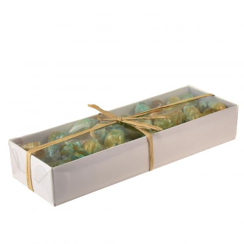 Floristik24 Concha de nácar capiz rodajas de nácar concha de caracol de mar verde 3,5–9,5 cm 750 g