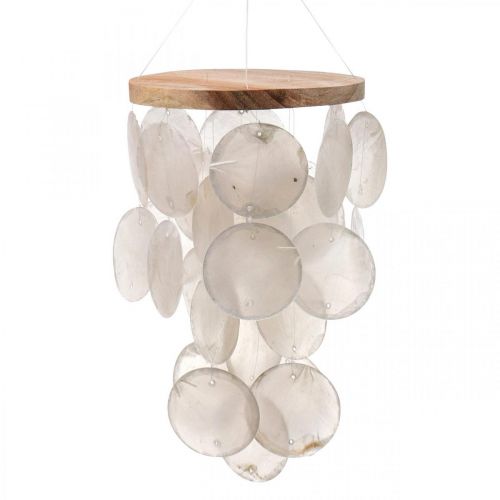 Floristik24 Carillón de viento Capiz decoración colgante conchas nácar Ø12cm 37cm