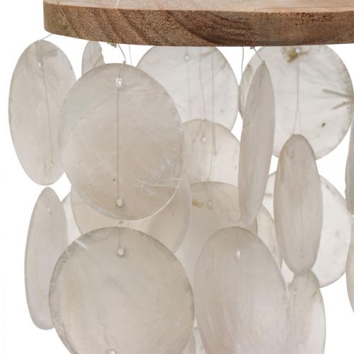 Floristik24 Carillón de viento Capiz decoración colgante conchas nácar Ø12cm 37cm