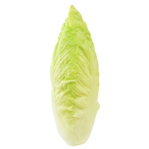 Chupete de comida artificial achicoria Real Touch 17cm