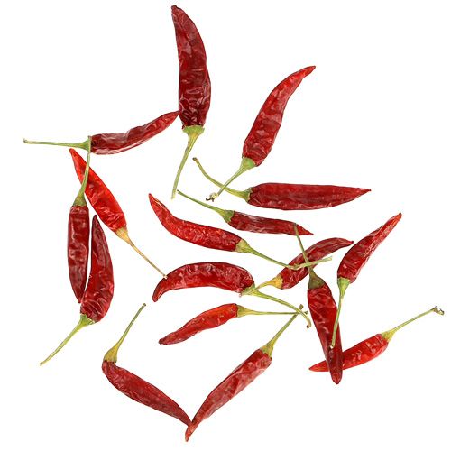 Floristik24 Chiles chile corto rojo 250g