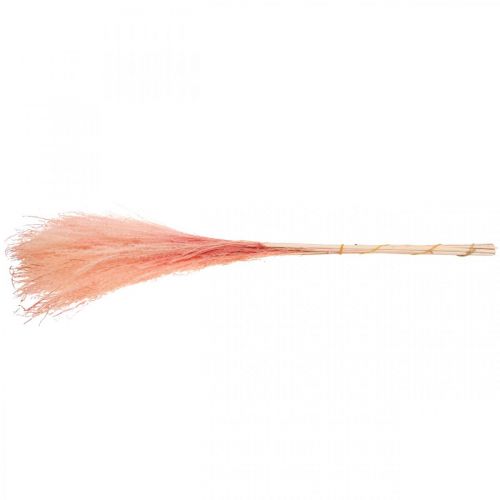 Artículo Caña china hierba seca rosa claro Miscanthus H75cm 10 piezas