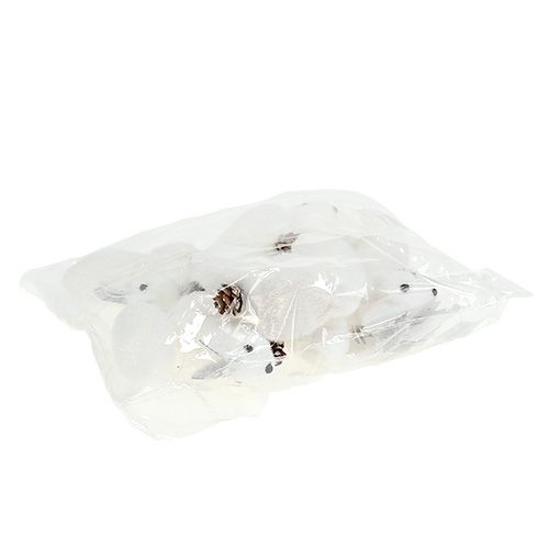 Floristik24 Arbol de navidad adornos ardilla blanco 7cm 6pcs