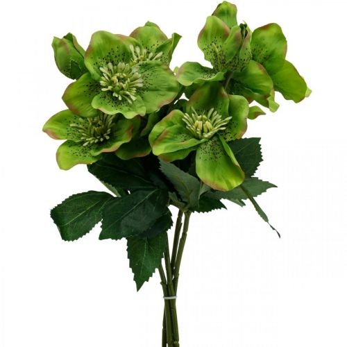 Floristik24 Rosa de Navidad Rosa de Cuaresma eléboro flores artificiales verde L34cm 4 piezas