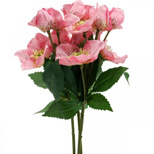 Floristik24 Rosa de navidad, rosa de cuaresma, eléboro, plantas artificiales rosa L34cm 4pcs