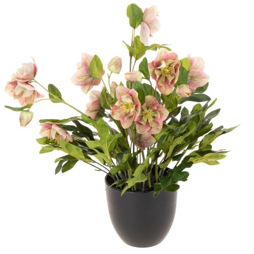 Planta artificial de heléboro en maceta, rosa de Navidad, para decoración del hogar, 50 cm. comprar | Floristik24.es