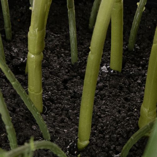 Planta artificial de heléboro en maceta, rosa de Navidad, para decoración del hogar, 50 cm. | Floristik24.es