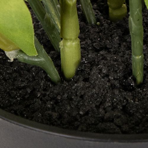 Rosa artificial de Navidad, planta en maceta, decoración de mesa, 34 cm. | Floristik24.es