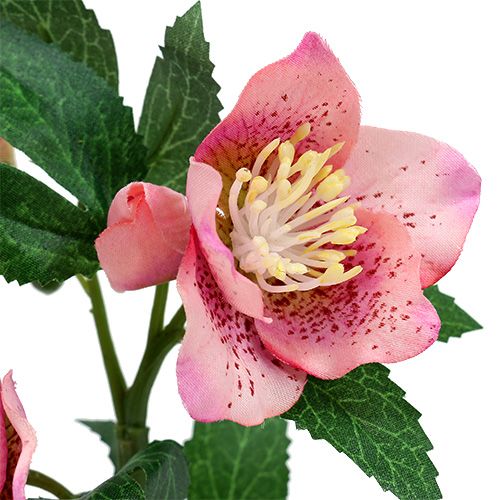 Floristik24 Rosa de Navidad Rosa L22cm 1pc