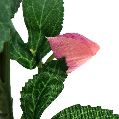 Floristik24 Rosa de Navidad Rosa L22cm 1pc