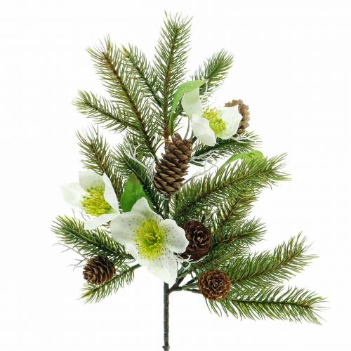 Floristik24 Rama de abeto artificial con rosas navideñas y conos L36cm