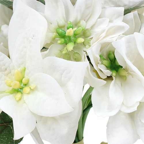 Floristik24 Estrella de Navidad en manojo blanco Ø18cm L30cm