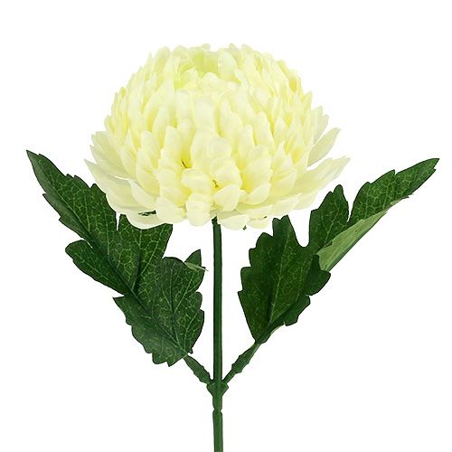 Floristik24 Crema de crisantemo artificial Ø7cm L18cm