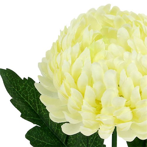 Floristik24 Crema de crisantemo artificial Ø7cm L18cm