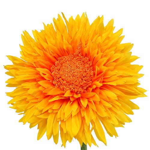 Floristik24 Peluche Crisantemo 63cm Amarillo Dorado