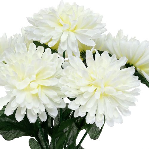 Floristik24 Crisantemo blanco con 7 flores