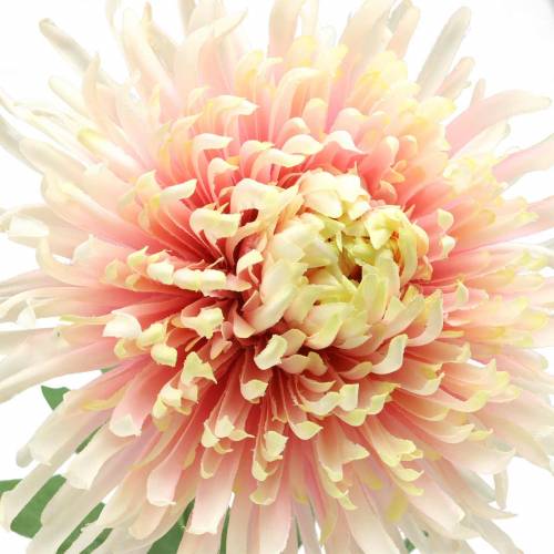 Artículo Crisantemo flor rama rosa artificial 64cm