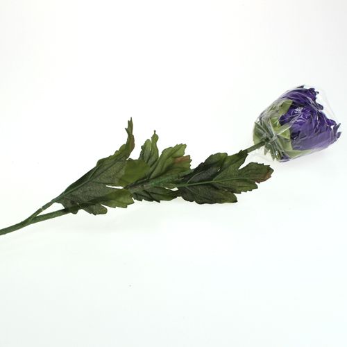 Floristik24 Crisantemo morado 74cm
