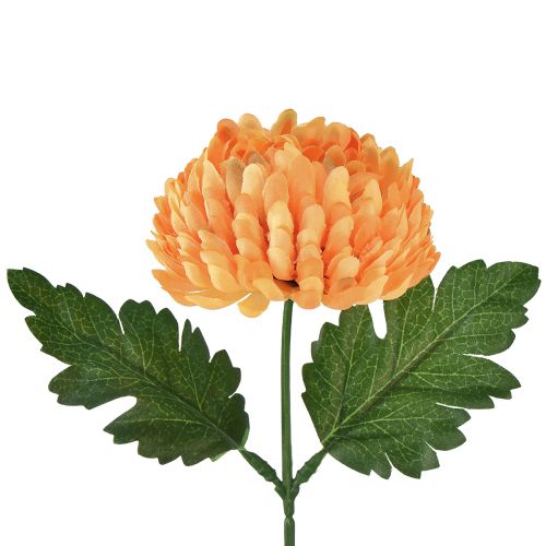 Floristik24 Crisantemo naranja Ø7cm L18cm 1ud