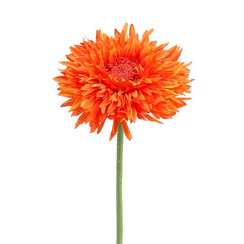 Floristik24 Peluche Crisantemo 63cm Naranja