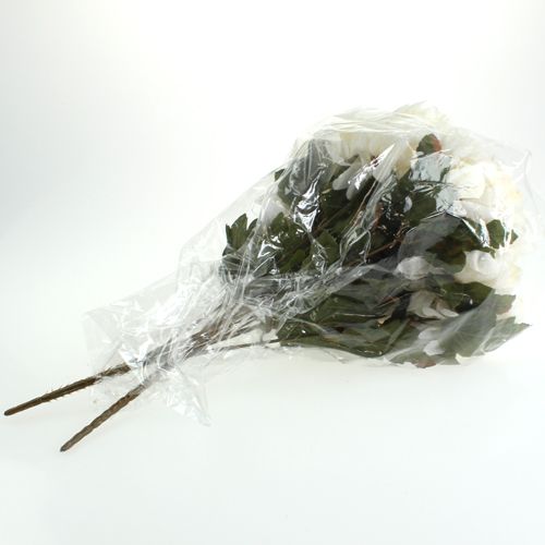 Floristik24 Crisantemo arbusto crema 47cm 2pcs