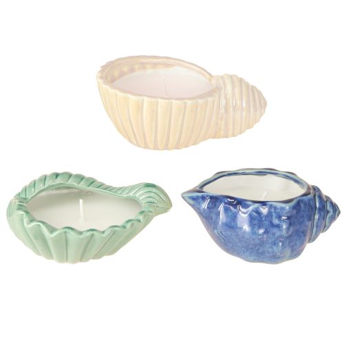 Floristik24 Vela de citronela con forma de concha de cerámica para exterior, 14 cm, 3 unidades