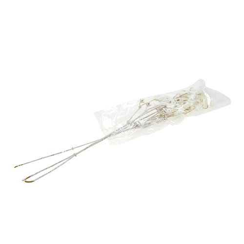 Floristik24 Clematis rama blanca flocada 62cm 3pcs