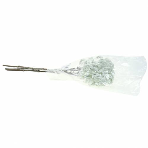 Artículo Clemátide verde con nieve 43cm 3uds