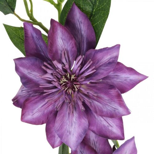 Floristik24 Clemátide artificial, flor de seda, rama decorativa con flores de clemátide violeta L84cm