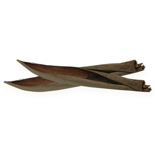 Artículo Cáscaras de coco natural 60cm 5uds