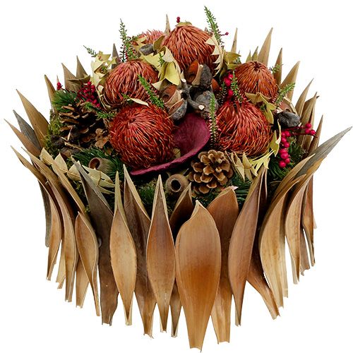 Artículo Cáscaras de coco hojas de coco blanqueadas 25 piezas
