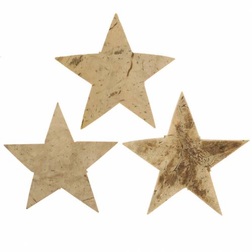 Floristik24 Coconut star nature 5cm 50pcs decoración navideña decoración de mesa