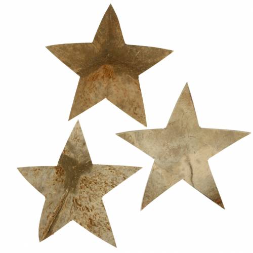 Floristik24 Coconut star nature 10cm 20pcs Decoración navideña con estrellas de madera