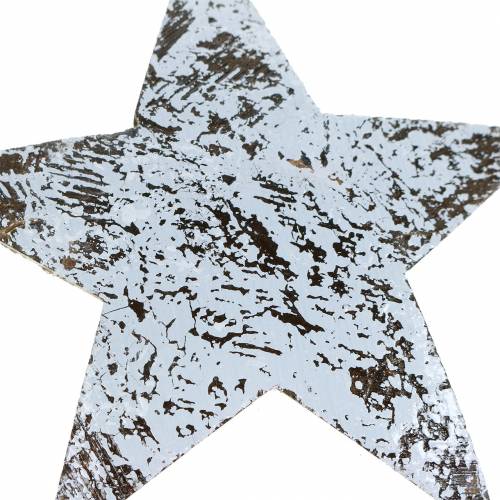 Artículo Estrella de coco blanqueada 10cm 20uds