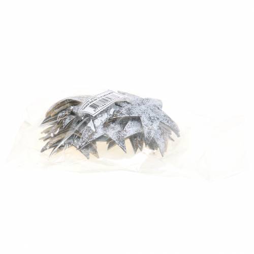 Artículo Estrella de coco blanqueada 10cm 20uds