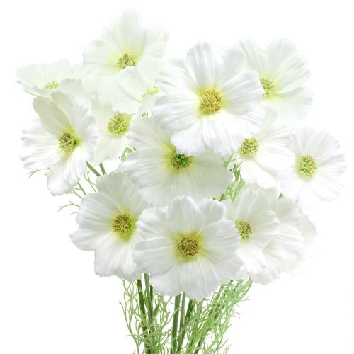 Floristik24 Cosmea blanco 77cm 3pcs