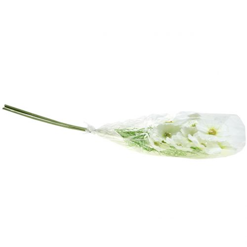 Floristik24 Cosmea blanco 77cm 3pcs