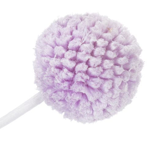 Artículo Flores secas de Craspedia para la decoración moderna de la mesa de tu hogar, 55cm, 20 piezas