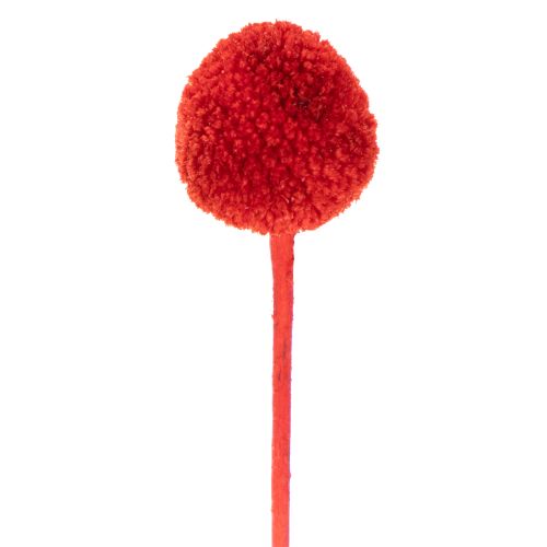 Flores de Craspedia secas, teñidas, con tallos largos, 55 cm, 20 unidades | Floristik24.es
