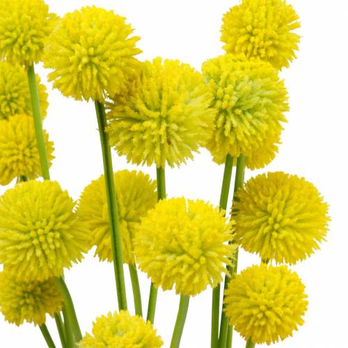 Floristik24 Baquetas Craspedia Flor de jardín artificial amarilla Flores de seda 15 piezas