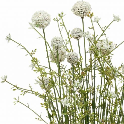 Floristik24 Muslo artificial blanco craspedia bundle secado ramo 3 piezas